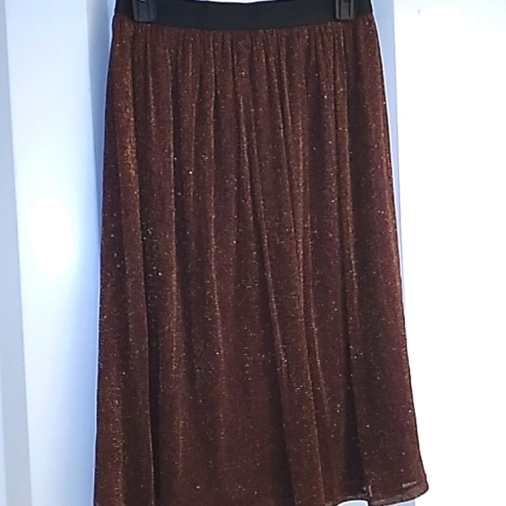 NWT A New Day skirt size small sparkly Tull with lining